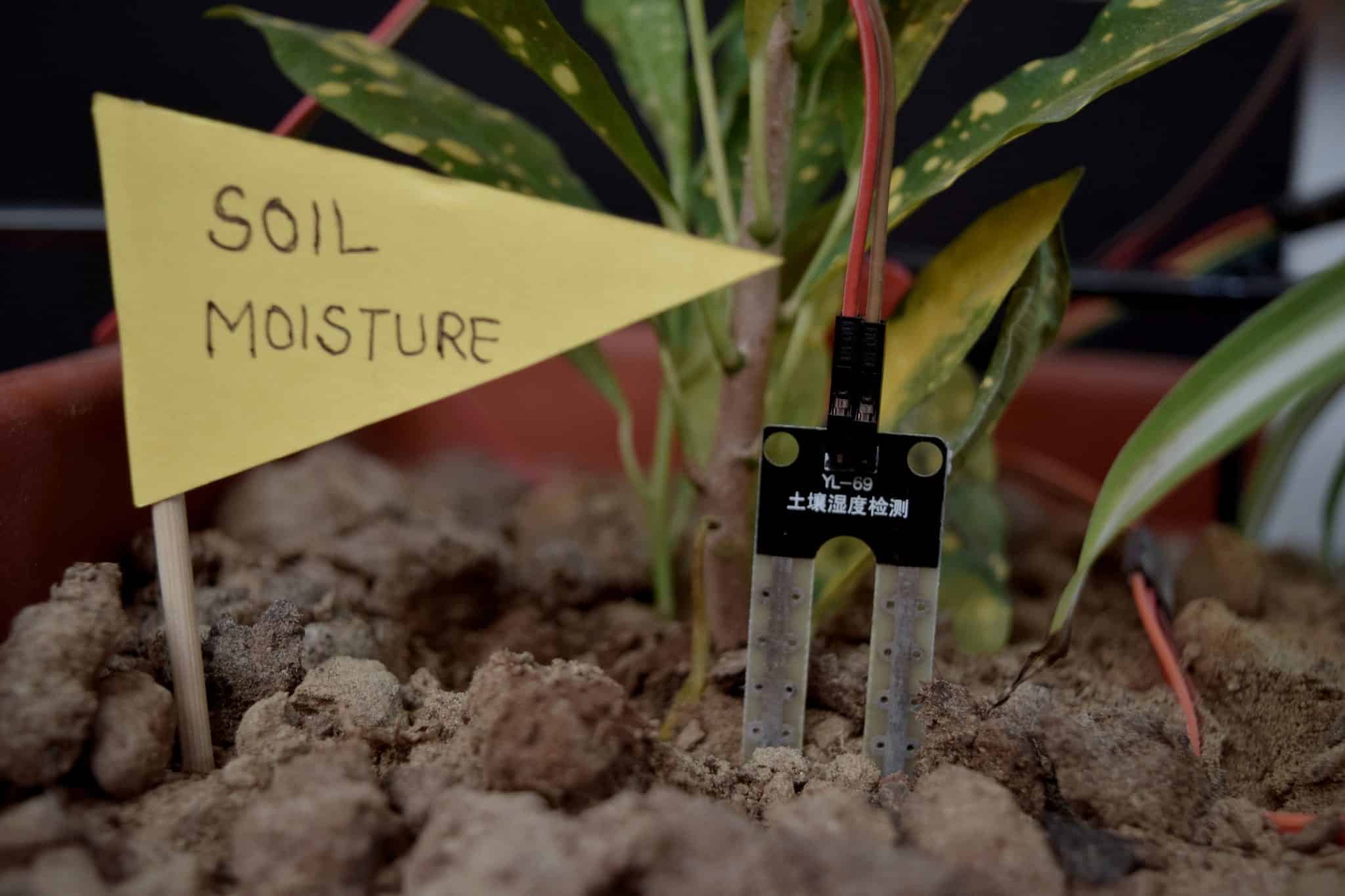 Professioanl Soil Moisture Meter Plants Moisture Meter Plant Water