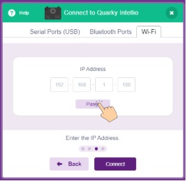 Paste the IP Address