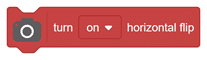 Turn on horizontal flip
