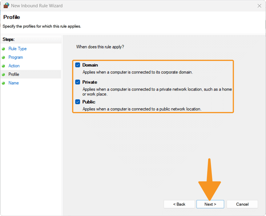 Apply to Domain Private Public and click next