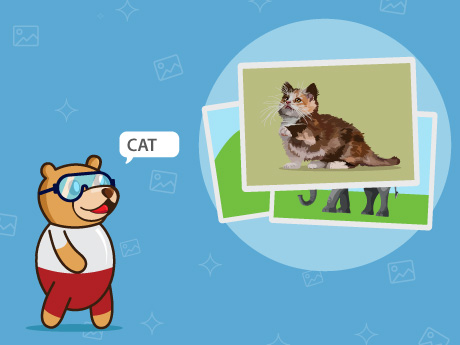ML-Animal Classifier