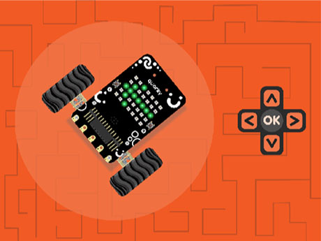 Python Quarky Controller