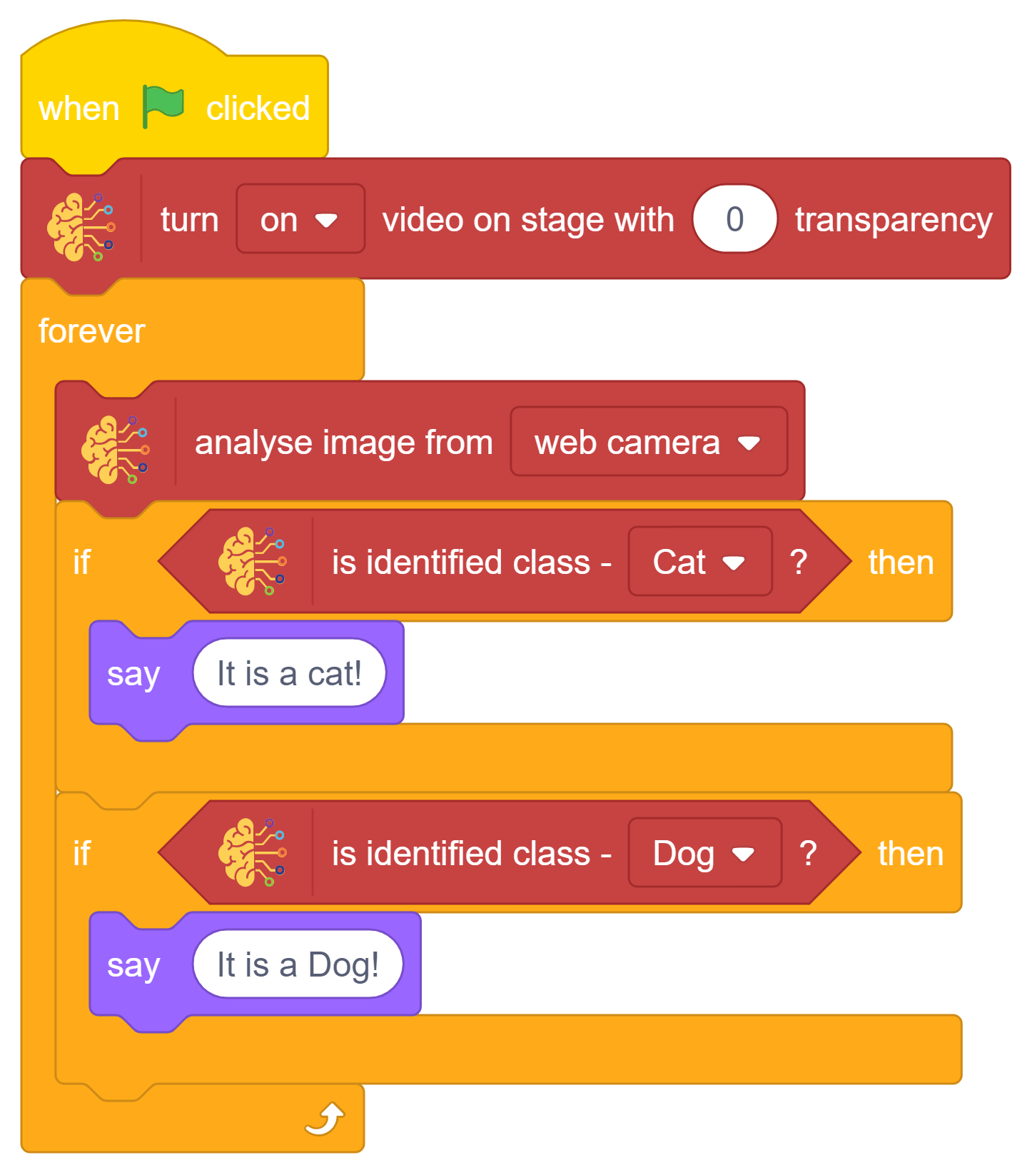 cat and dog block coding