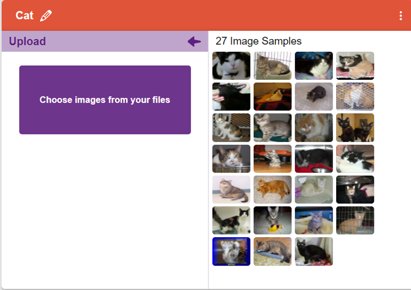 cat images uploaded