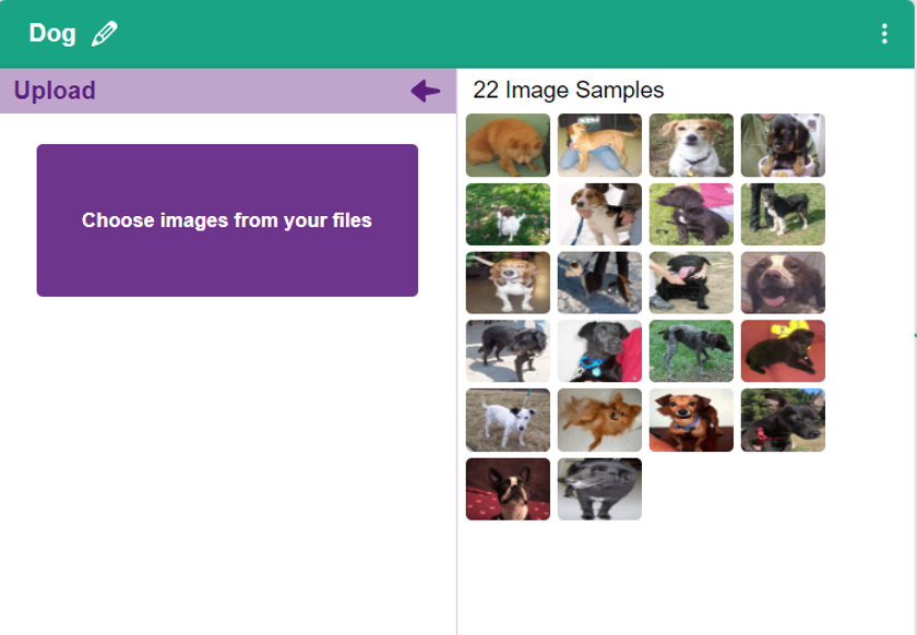 dog images uploaded
