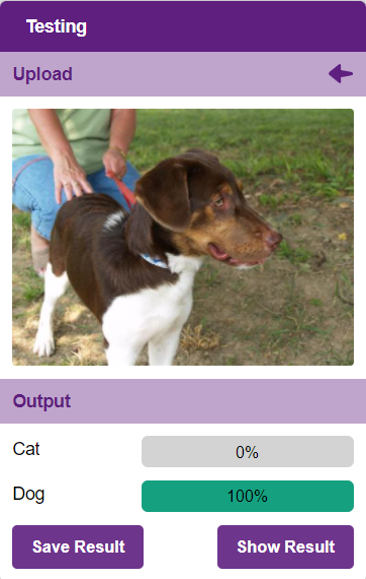 testing output
