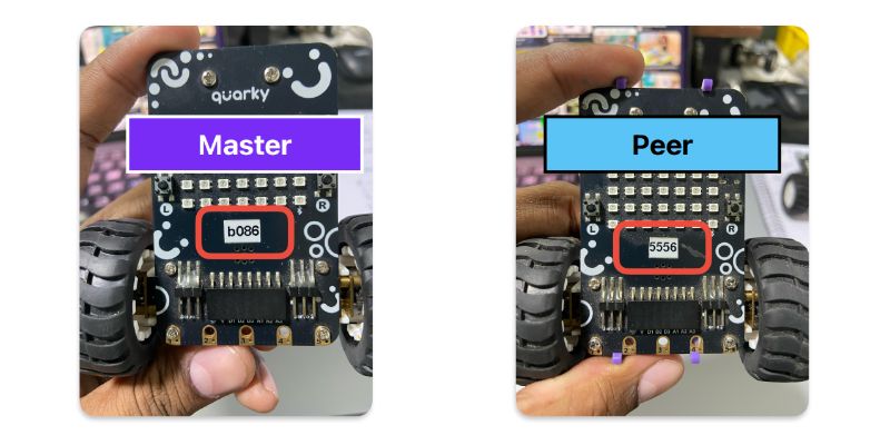 Master and Peer Quarky Robot