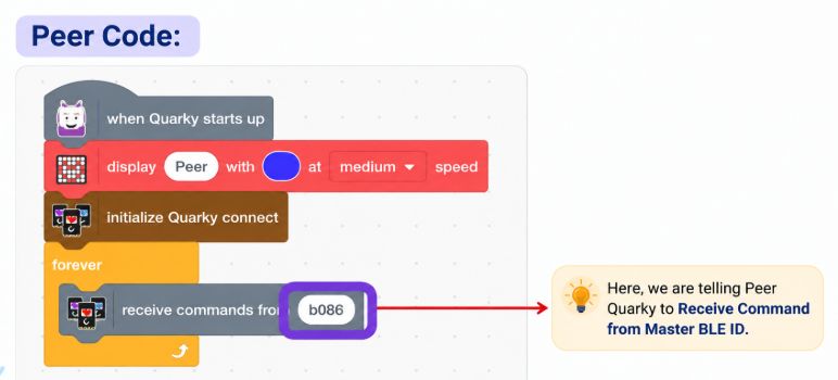 Peer Quarky Code