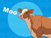 Animal Sound Classifier