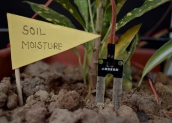 soil moisture sensor