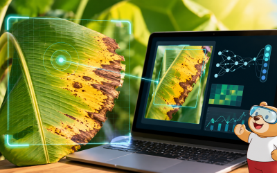 Leaf Diseases classifier
