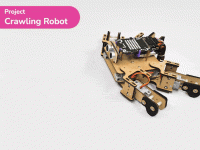 Project - Crawling Motor