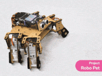 Project - Robo Pet 2