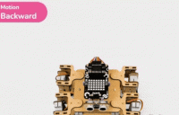 Quadruped forward backward