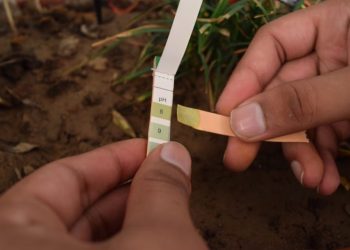 soil pH scale comaprison