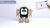 Wireless Control Robot