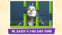 flying bird feature